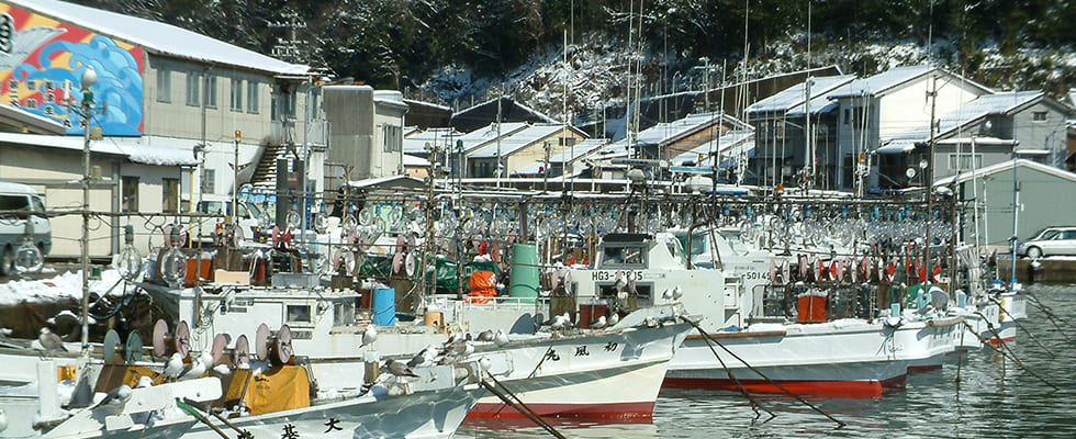 城崎温泉の台所　津居山漁港